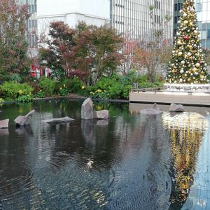 花のある暮らし,日本橋三越,屋上庭園,癒やされる,秋の風の画像