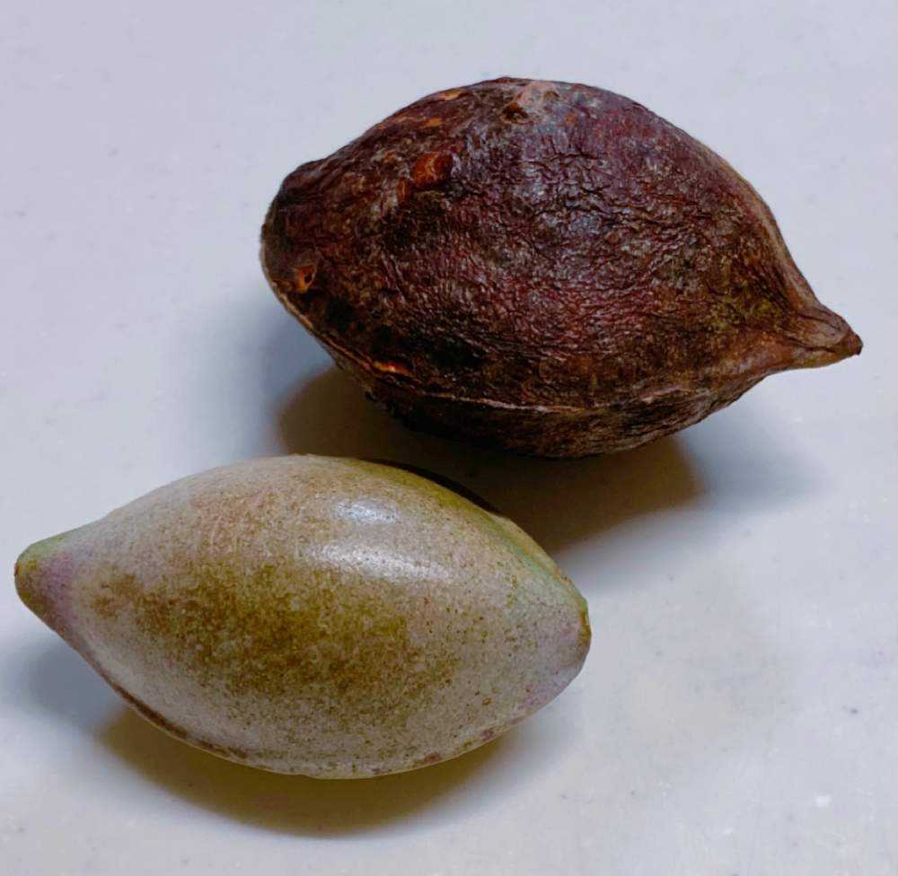 1606028845112_thum_397820_phot