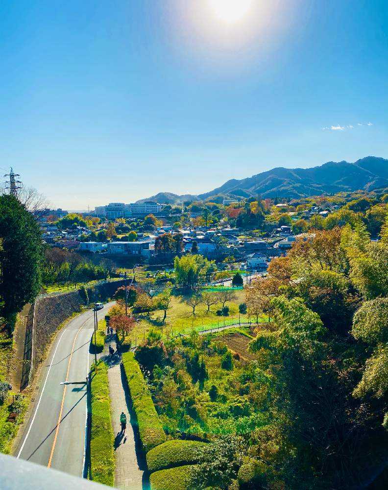 七沢森林公園に行って来ました🚶‍♀️～♪｜🍀GreenSnap（グリーンスナップ）