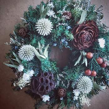 クリスマスアレンジメントの投稿画像一覧 Greensnap グリーンスナップ