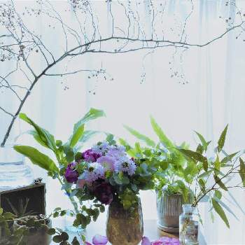 野バラの実の画像 by hiLa-ya hilaryさん | 窓辺と野バラの実と観葉植物と花器と枝ものとホルムガード フローラとリビングルームと花のある暮らしと切り花とインテリアグリーン