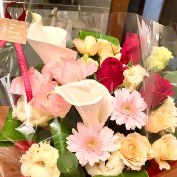 お誕生日ブーケの投稿画像一覧 Greensnap グリーンスナップ