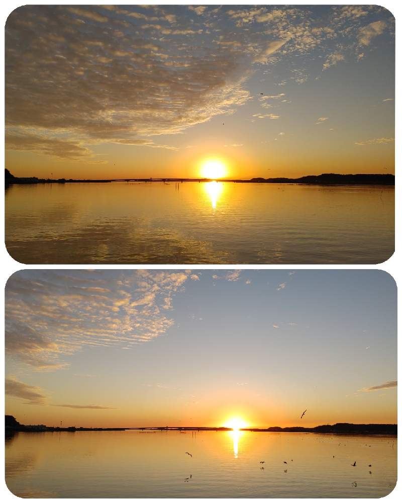 11月の投稿画像 By Lucky514さん 湖の夕焼けとgs映えと夕日とgs日和と湖の夕日とマルプーラッキー散歩と夕陽と湖の夕景と夕暮れ時と湖の風景 月11月24日 Greensnap グリーンスナップ
