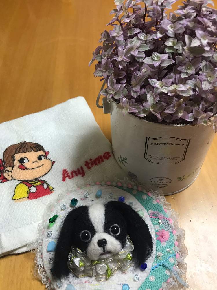 ペコちゃんの投稿画像 By アリス さん ペコちゃん祭りとペコちゃん祭り初めて参加 月11月25日 Greensnap グリーンスナップ