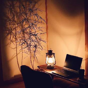 ランタンの画像 by yuukiさん | 部屋とボトルツリーと雰囲気づくりとお部屋と観葉植物-2020と部屋の中とランタンとインテリア雑貨とインテリアグリーンと影絵