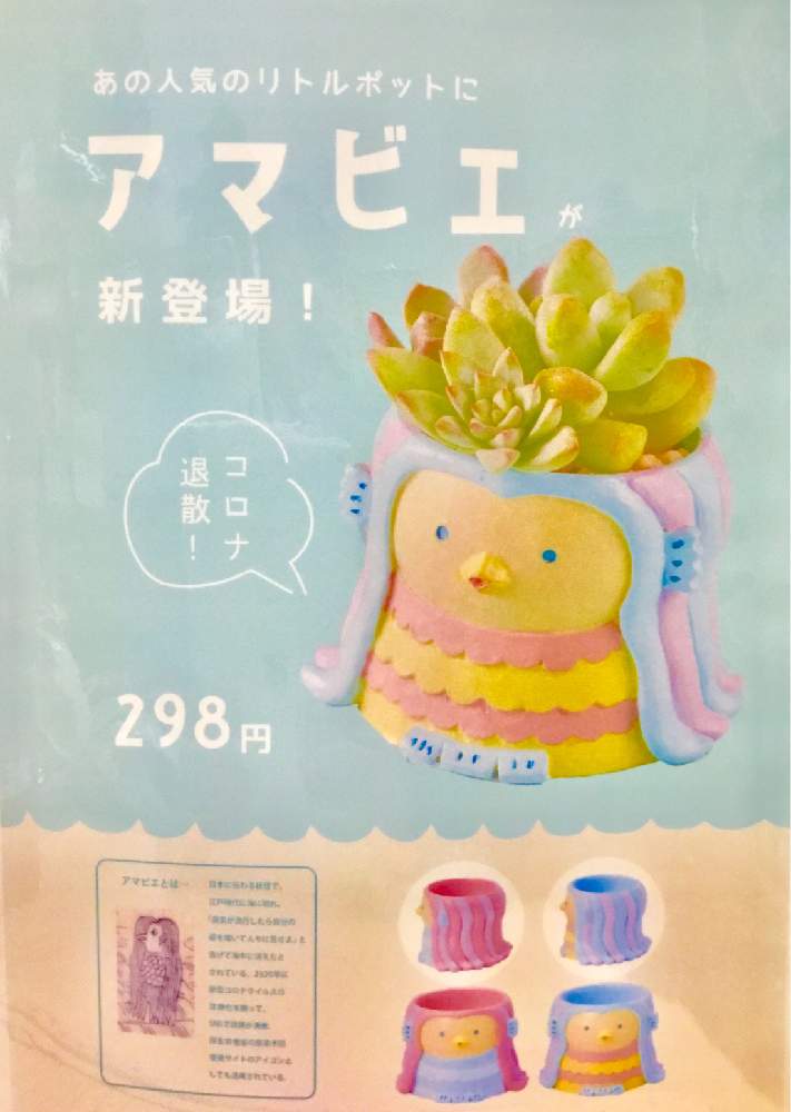 多肉植物の投稿画像 By カインズさん アマビエと入荷情報 とコロナ退散とおうち園芸とコロナに負けるな とカインズとカインズ蓮田店とホームセンターと 可愛いとリトルポットとcainz 月11月26日 Greensnap グリーンスナップ