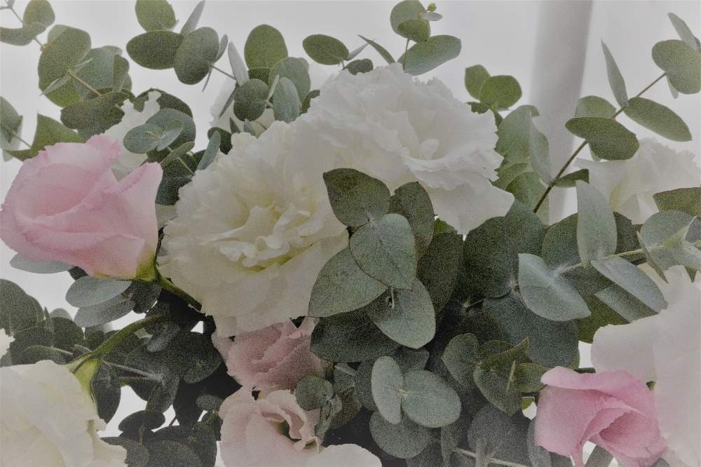トルコキキョウの投稿画像 By Hila Ya Hilaryさん ユーカリとリシアンサスと投げ入れといばらきの花の定期便と花のある暮らしと切り花とインテリアグリーン 月11月26日 Greensnap グリーンスナップ