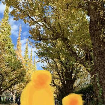 神宮外苑いちょう並木の画像 by aibonさん | お出かけ先といちょうと神宮外苑いちょう並木と黄葉