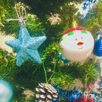 クリスマスツリー の投稿画像一覧 Greensnap グリーンスナップ