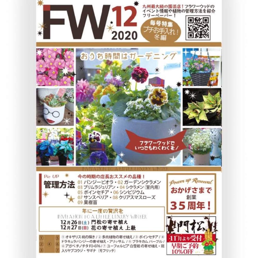 Apictnyohed73 多肉植物 イベント 21九州 多肉植物 イベント 21九州