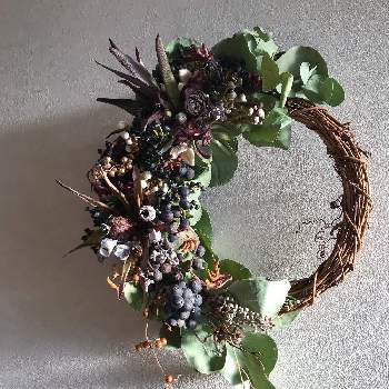 ふかこーりょくの投稿画像一覧 Greensnap グリーンスナップ