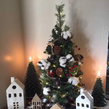 クリスマスデコレーションの画像 by noripさん | エントランスとクリスマスツリーとクリスマスデコレーションと コットンとキャンドルとアメリカ コロラドと木の家とアメリカン雑貨と小さなクリスマスツリー