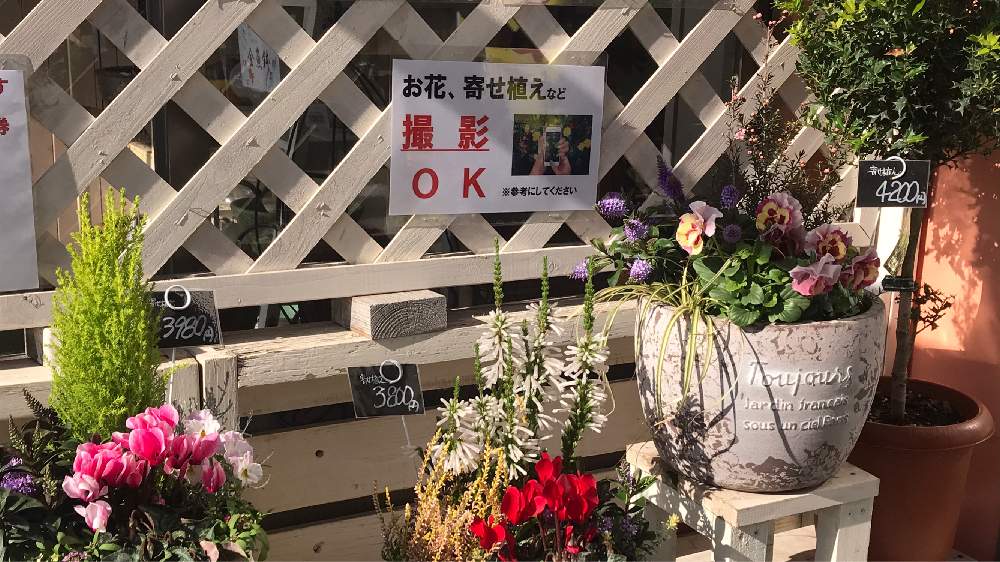 1129ガーデンマルシェ防府店 Greensnap グリーンスナップ