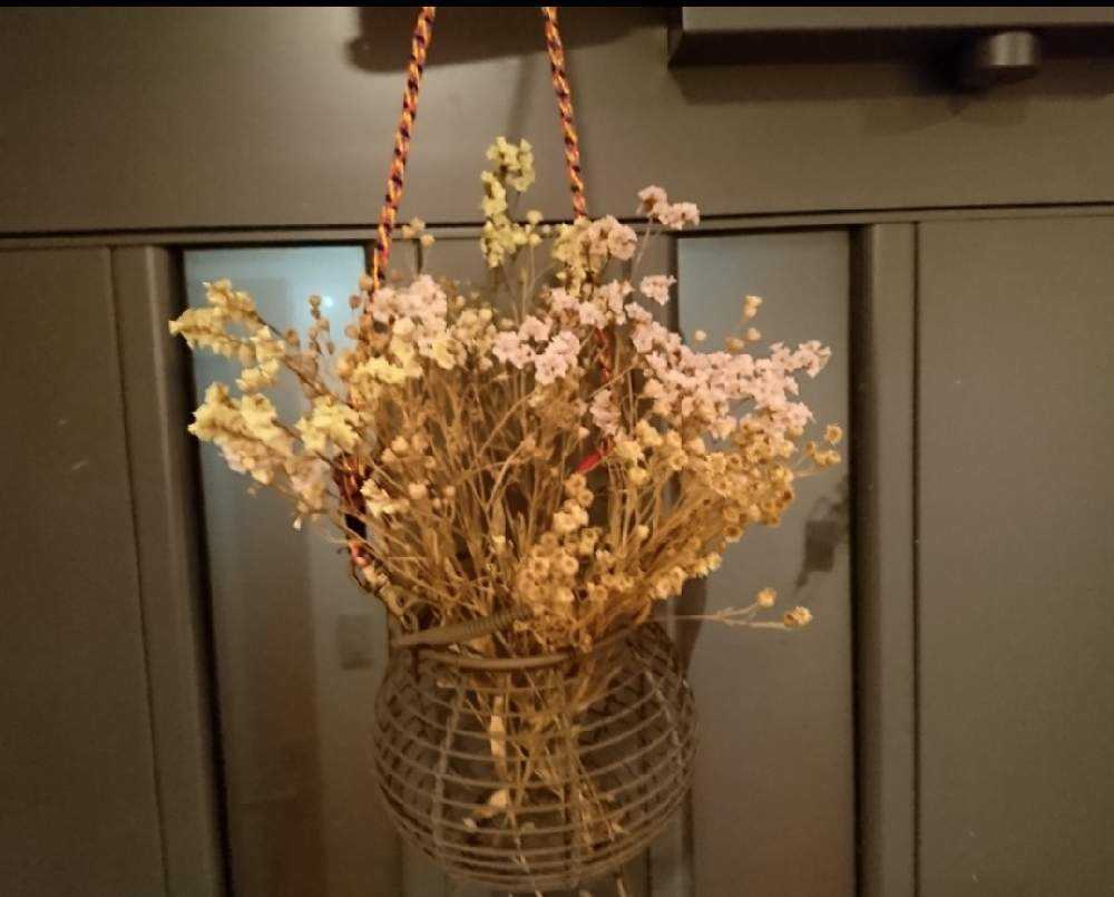 つぼみのドライまとめ Greensnap グリーンスナップ