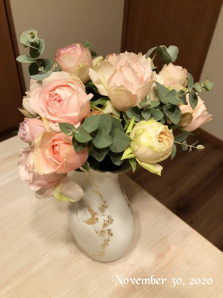 バラ ミニバラの投稿画像 By Yuu ﾟさん バラを楽しむとバラのある暮らしとばら バラ 薔薇とライラッククラシックとエレガントドレスと部屋と バラ ミニバラとバラを楽しむとバラのある暮らしとばら バラ 薔薇 月11月30日 Greensnap グリーンスナップ
