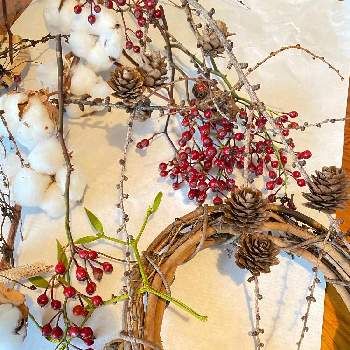 野バラの実の画像 by あおいねこさん | 野バラの実とコットンフラワーとヤドリギと月桃の実とカラマツの松ぼっくり