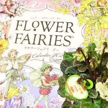 フラワーフェアリーズの投稿画像一覧 Greensnap グリーンスナップ