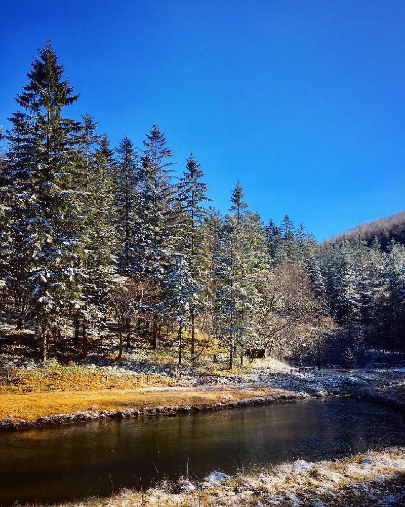 山の中の景色の投稿画像 By 日曜大工さん 里山大好き協会と雪景色と山のある風景と妄想倶楽部と雑木林 月12月3日 Greensnap グリーンスナップ