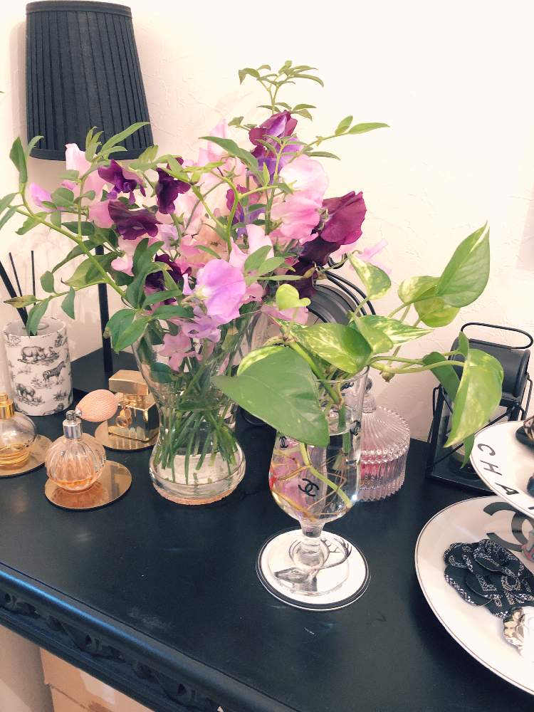 ポトスの投稿画像 By まりかさん スイトピーとスイトピー ピンク 紫 とソケイと水耕栽培と花のある暮らしと今日のお花とみどりのある暮らしとアレンジ とフラワーアレンジメントと フラワーアレンジ 月12月5日 Greensnap グリーンスナップ