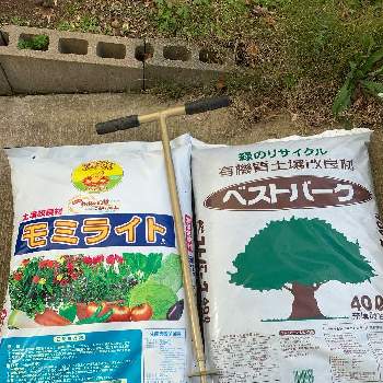 土壌改良の投稿画像一覧 Greensnap グリーンスナップ