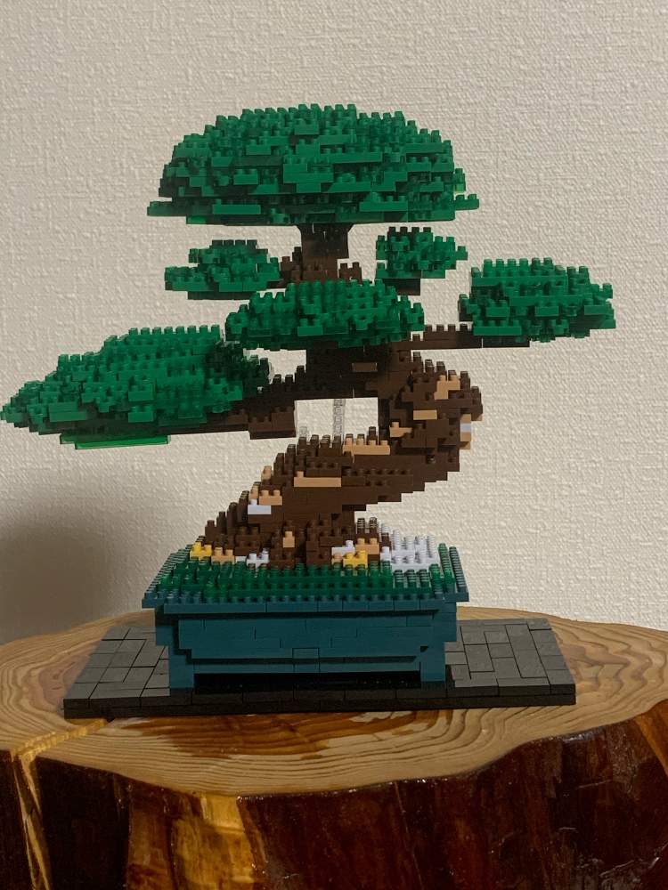 盆栽の投稿画像 By 若ちゃんさん ナノブロックとレゴと松の盆栽 月12月6日 Greensnap グリーンスナップ