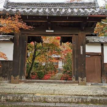 故郷の風景の画像 by ミルキーさん | お出かけ先と紅葉（こうよう）と故郷の風景と京都にてと京都　善法律寺