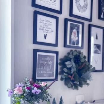 シクラメン　セレナーディアの画像 by ＊ KL ＊さん | 部屋とシクラメンとサンフラビトとベランダの花とベランダのお花とサンフラマニアとセレナーディア　ライラックフリルとサントリー フラワーズとクリスマスの準備とベランダー♡とpinkとシクラメン　セレナーディアとバラ・ミニバラとマンションと花と生きるサントリーとアレンジメントと切り花とクリスマスと21.10.15 シクラメン 今日のお花