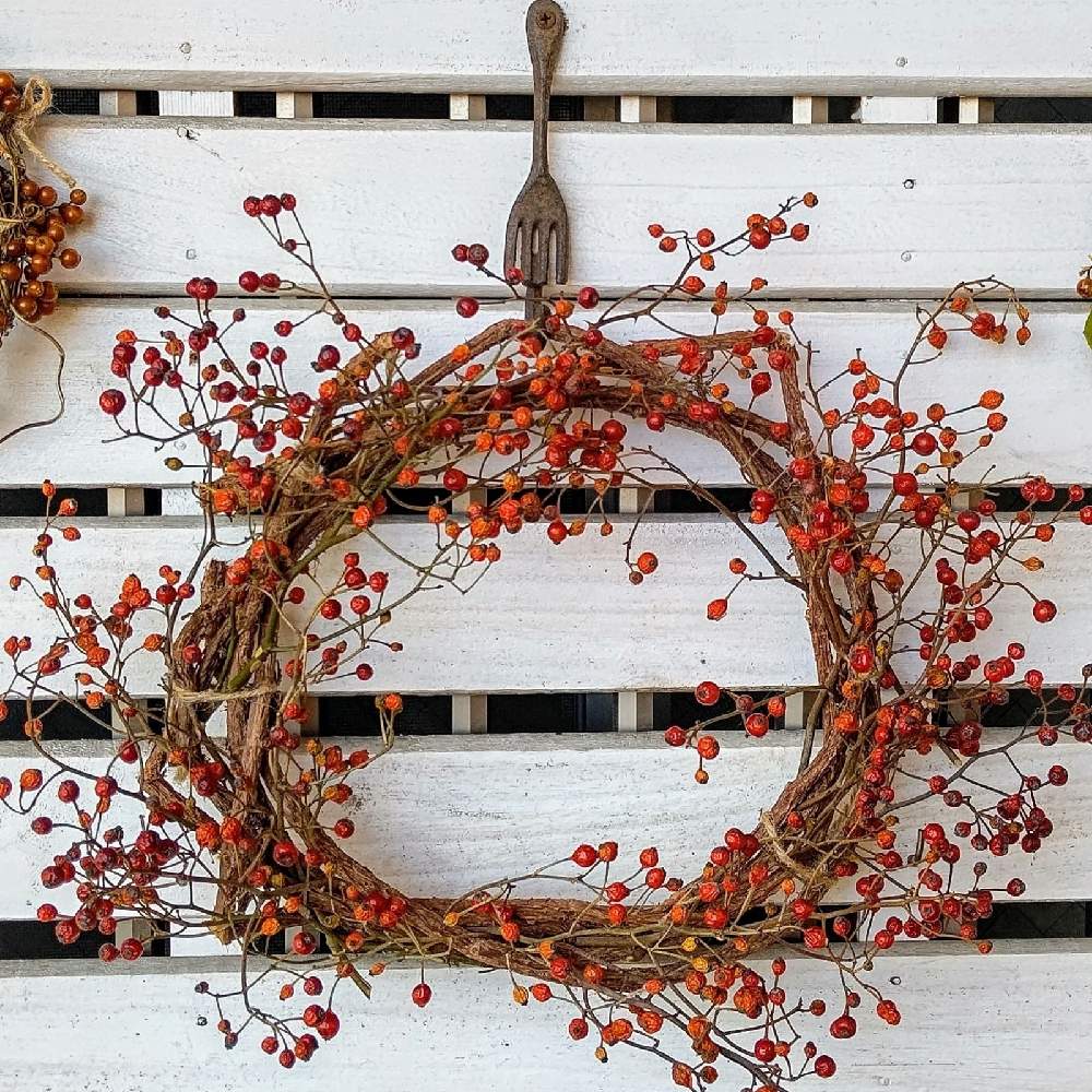 雲龍柳とパンパスグラスの4種の赤い実添え　秋冬リース　パンパスグラスのリース