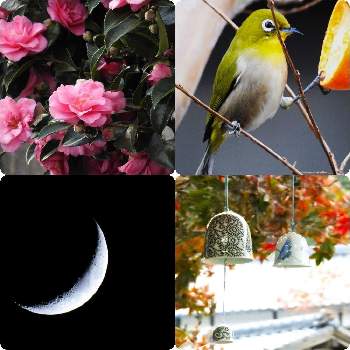 伊万里焼 風鈴の投稿画像一覧 Greensnap グリーンスナップ