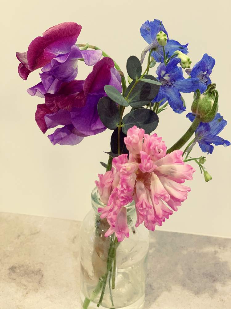 スイートピーの投稿画像 By ばむせさん ヒヤシンスとデルフィニウムと枯れない花瓶 月12月8日 Greensnap グリーンスナップ