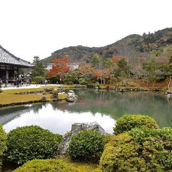 京都嵯峨野の画像 by aji810061さん | 京都と庭園と京都嵯峨野と天龍寺