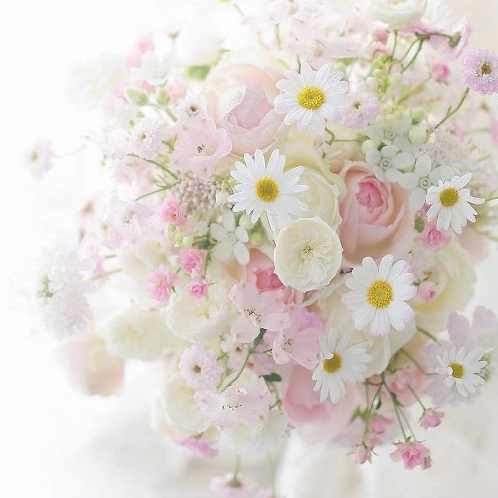 マーガレットの投稿画像 By Samiria Luciaさん 可愛い花と淡い色の花と今日のお花とピンクのお花とフラワーアレンジメントといい香りと花 のある暮らしと白い花と切り花 月12月10日 Greensnap グリーンスナップ