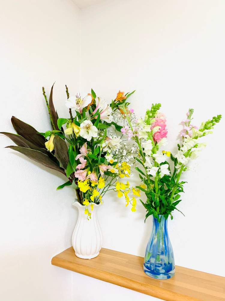 アルストロメリアの投稿画像 By Fzkさん スナップとオンシジュウムと花瓶と花のある暮らしとお花の定期便 月12月10日 Greensnap グリーンスナップ