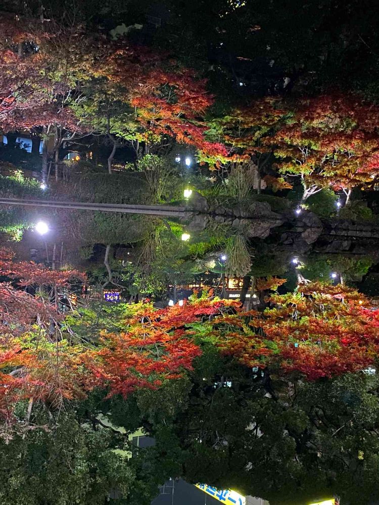 ピノ太郎さんの横浜公園への投稿