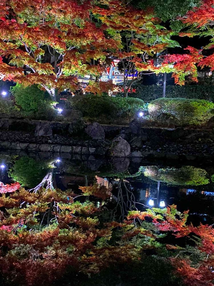 ピノ太郎さんの横浜公園への投稿