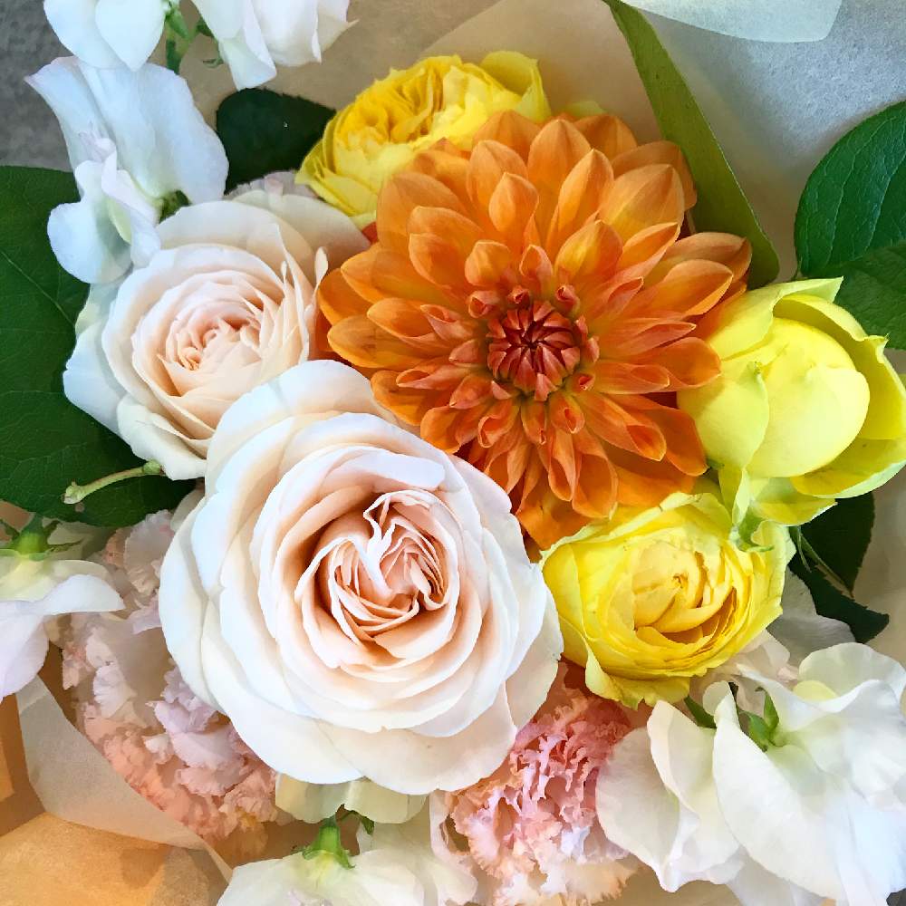 スイートピーの投稿画像 By アトリエkさん ダリアとトルコキキョウとバラとレモンリーフとスプレーバラ カタリナとatelierkとプレゼントとトルコキキョウ とご送別用とアトリエケイと淀屋橋花屋とお祝い花と北浜花屋とアトリエkとダリア とバラ ミニバラとお花屋さん