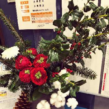 ラッキーな出会いの画像 by チャーミーさん | お出かけ先と赤色と自然とがんばれ！がんばれ！と癒しと花への想いと感謝と コットンと思い出の花とありがとうと可愛い♥️と綺麗と❤️いいね、ありがとうとうれしい！とラッキーな出会いとサンタクロースと優しい色とクリスマスリースとクリスマス