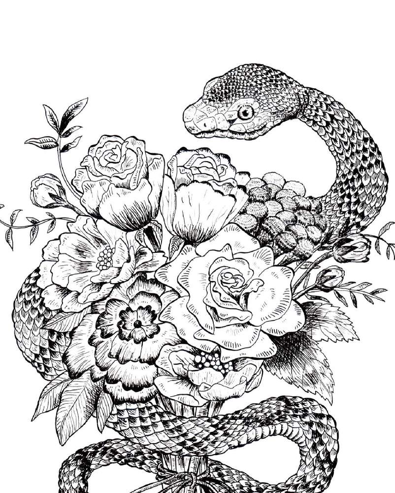 ペン画の投稿画像 By ことさん 月12月12日 Greensnap グリーンスナップ ペン画の投稿画像 By ことさん 月12月12日 Greensnap グリーンスナップ