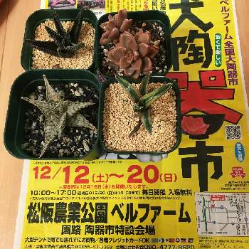手づくり市ベルファームの投稿画像一覧 Greensnap グリーンスナップ 手づくり市ベルファームの投稿画像一覧 Greensnap グリーンスナップ
