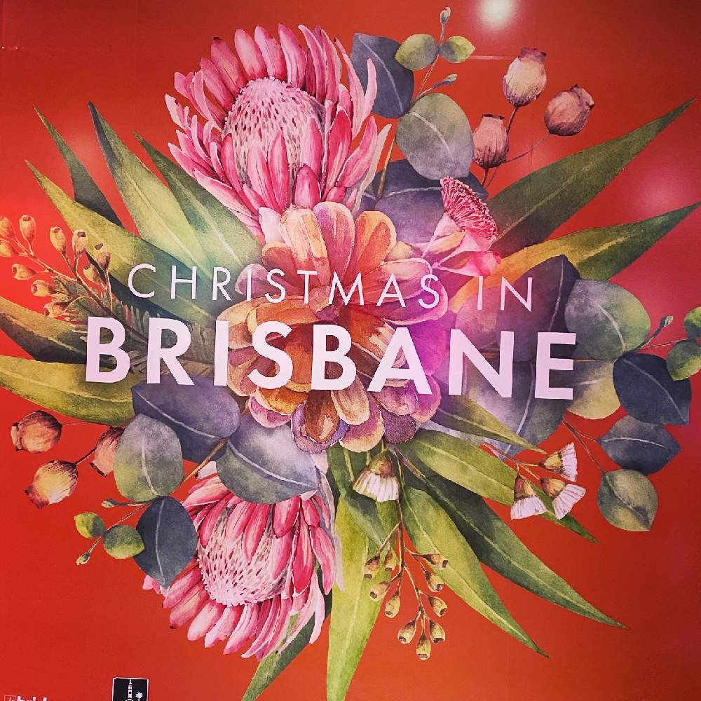 プロテアの投稿画像 By マッキーさん Proteaと日光アレルギーに負けないとユーカリの花とaustralia Qldとオーストラリアとgumnuts ユーカリの実とオージープランツとaustralia Brisbane 月12月12日 Greensnap グリーンスナップ プロテアの投稿画像 By マッキーさん Proteaと日光アレルギーに負けないとユーカリの花とaustralia Qldとオーストラリアとgumnuts ユーカリの実とオージープランツとaustralia Brisbane 月12月12日 Greensnap グリーンスナップ