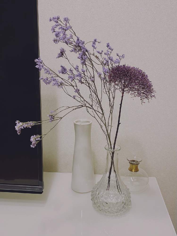 切り花の投稿画像 By Mkさん 花のある暮らしとスターチスとユウギリソウとインテリアと切り花と花のある暮らし 月12月12日 Greensnap グリーンスナップ Greensnap グリーンスナップ
