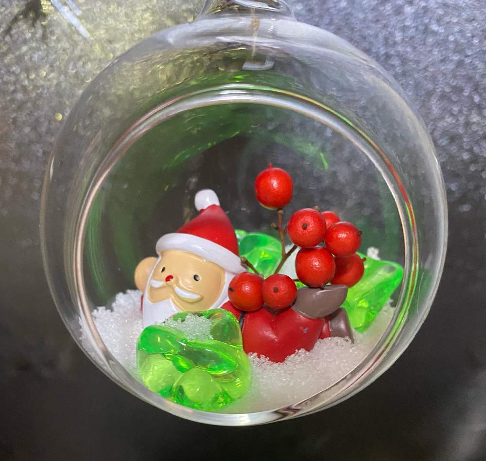 南天の投稿画像 By そらみんさん お部屋と観葉植物 と水やりと種まきと挿し木とたねと植え替えとおうち園芸と球根と鉢植えと植木鉢と切り戻しと肥料 月12月12日 Greensnap グリーンスナップ