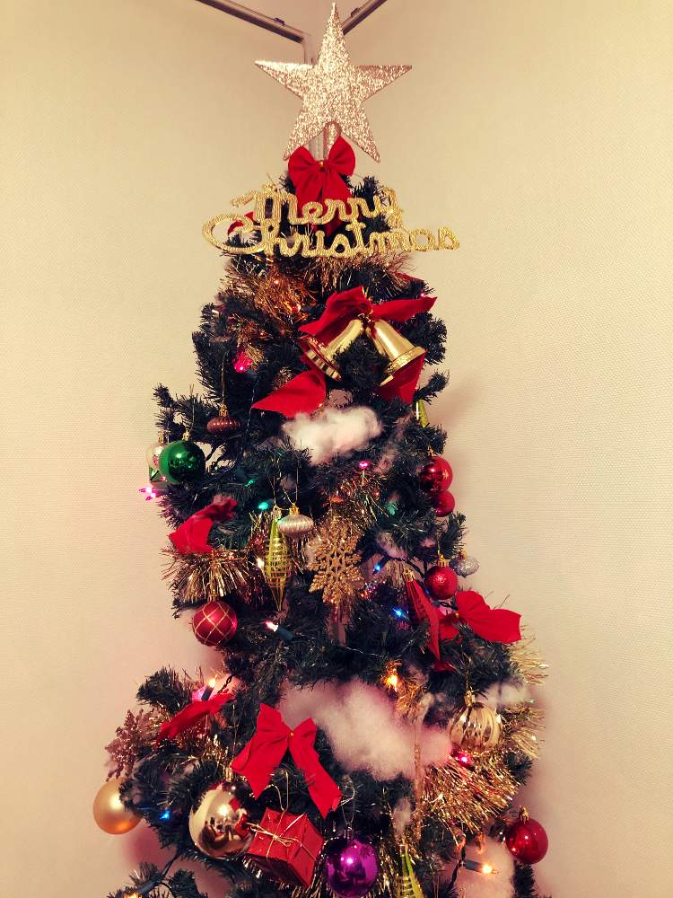 あなたのクリスマスソングはなんですかの投稿画像 By チャーミーさん 赤色と感動 とクリスマスツリーとプレゼントと癒しと花への想いと可愛い と いいね ありがとうと思い出とラッキーな出会いとサンタクロースとクリスマスと素敵 月12月12日 Greensnap あなたのクリスマスソングはなんですかの投稿画像 By チャーミーさん 赤色と感動 とクリスマスツリーとプレゼントと癒しと花への想いと可愛い と いいね ありがとうと思い出とラッキーな出会いとサンタクロースとクリスマスと素敵 月12月12日 Greensnap