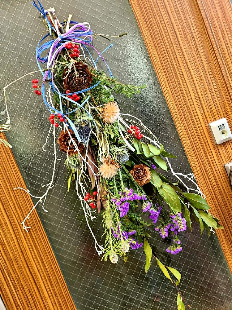 月桂樹の投稿画像 By もじゃもじゃ太郎さん ヒマラヤ杉 シダーローズとクリスマス スワッグとオリーブと多肉植物とオリーブ と月桂樹 とスワッグと多肉植物のある暮らしと植中毒と多肉植物とサボテンと多肉男とシダーローズとクリスマススワッグとビザールプランツ