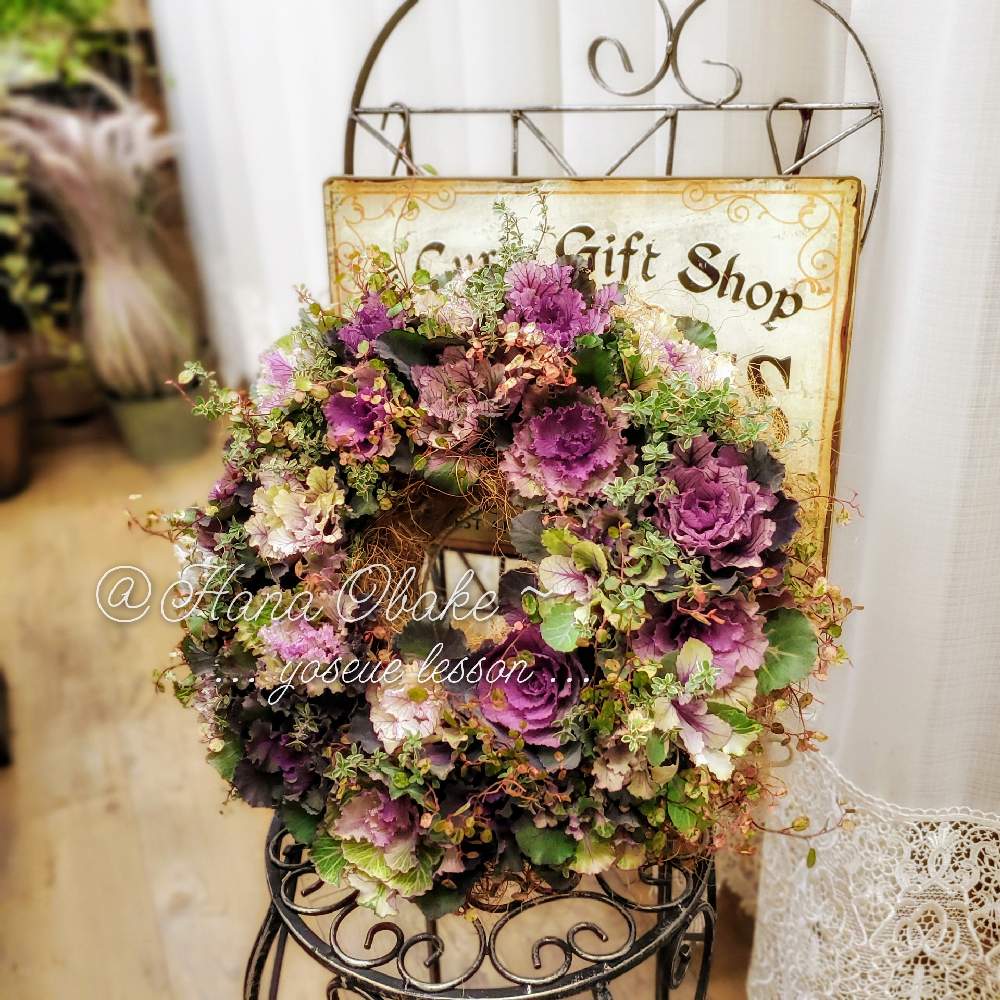 ハボタンの投稿画像 By Hana Obake Ayahana さん 葉牡丹と寄せ植え教室とギャザリングリース とシャビーとハボタン のリースと寄せ植えリース とプランツギャザリングと寄せ植えとハボタンの寄せ植えとギャザリングとリースとガーデニングとオトナカワイイと花