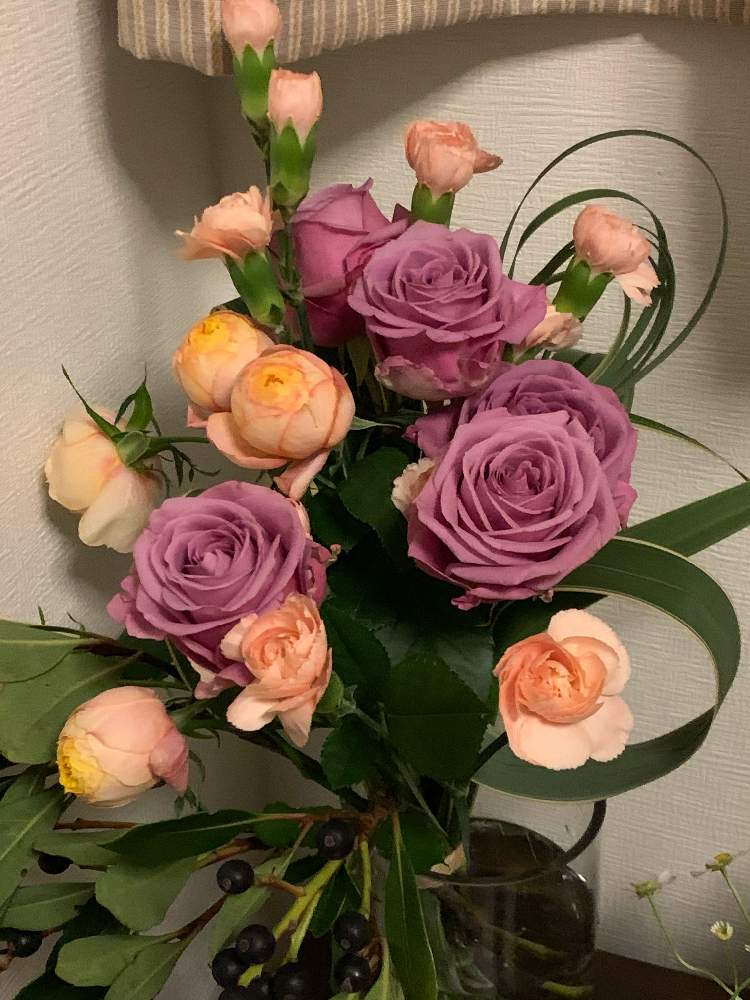 カーネーションの投稿画像 By めいたすさん バラ ベビーロマンチカとバラ クールウォーターとシャリンバイベリー 月12月14日 Greensnap グリーンスナップ