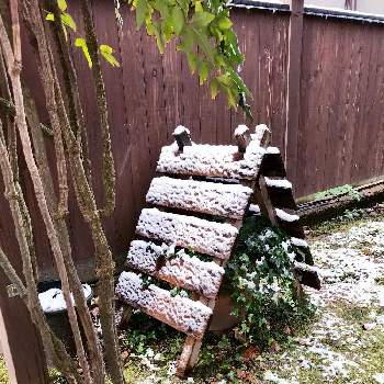 雪囲い の投稿画像一覧 Greensnap グリーンスナップ