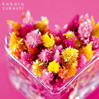 花言葉入り二行詩の画像 by kokorozukushiさん | インテリアとハッピーキャンドルとお花のカレンダーとピンクの花とハートアレンジとハートの形と花言葉入り二行詩とHAPPY～♥とGS映えとGS日和と今日の一枚と今日のお花と花のある暮らしと花あしらいと12月のカレンダーと贈りもの