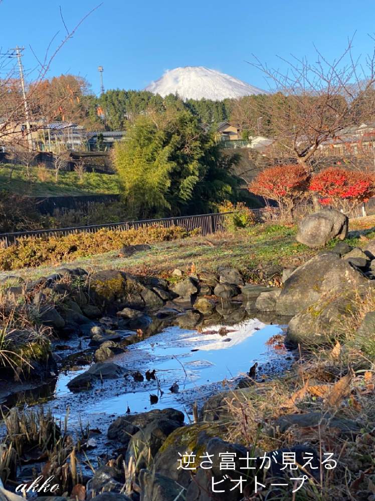 足柄ふれあい公園のビオトープの投稿画像 By ひみつのアッコちゃんさん 美しい富士山と足柄ふれあい公園と近くの景色 月12月15日 Greensnap グリーンスナップ