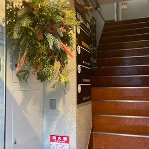 観葉植物,スワッグ,庭木,屋上ガーデン,花のある暮らしの画像